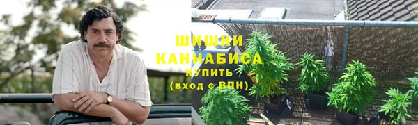 гашик Балахна